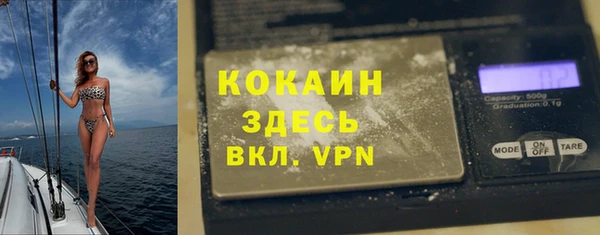 винт Алексин