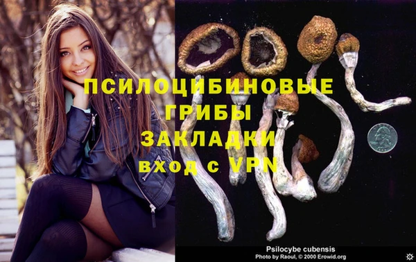 винт Алексин