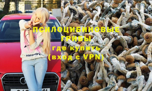 винт Алексин