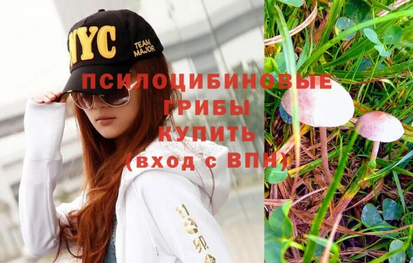 прущая мука Алзамай